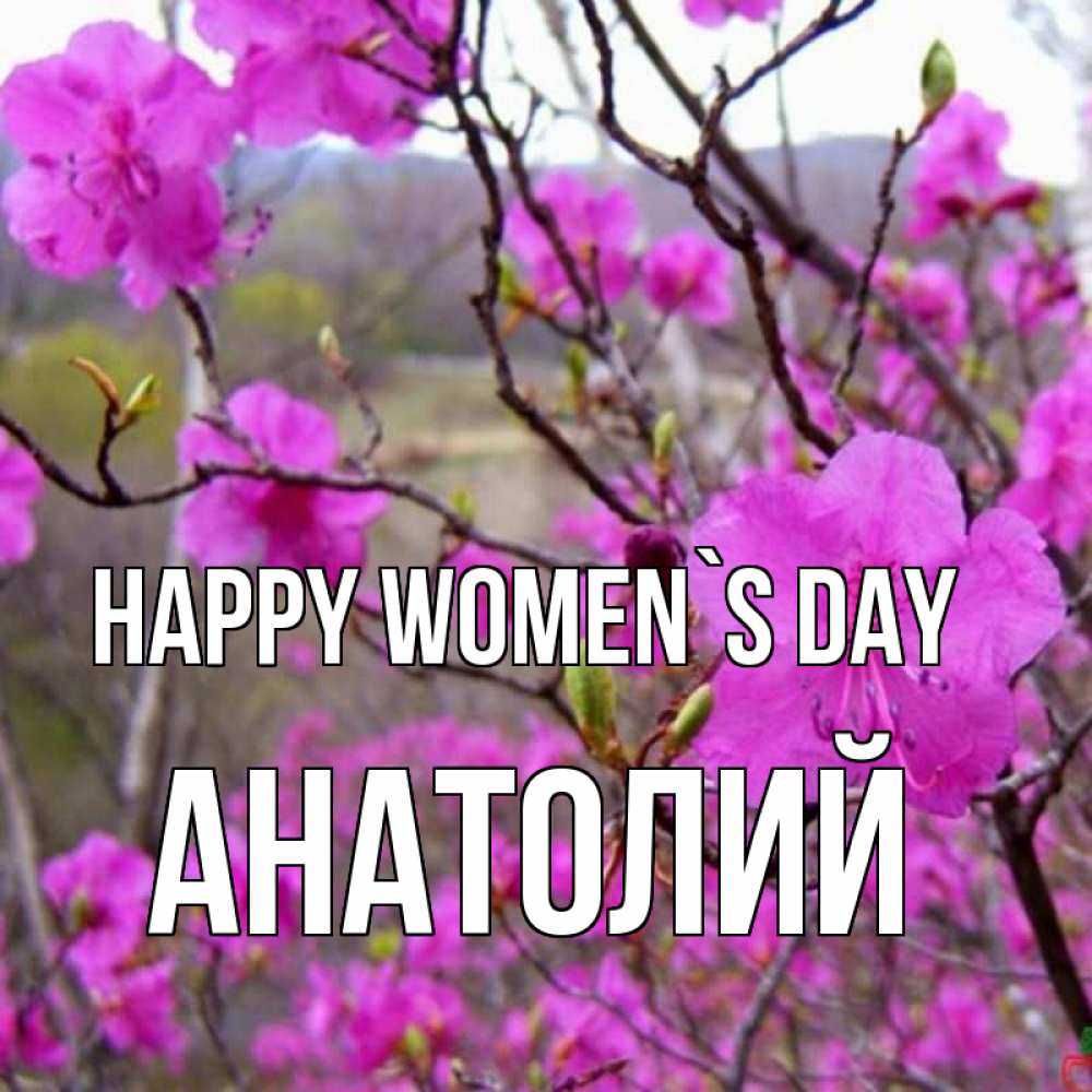 Greetings card с именем, Анатолий happy women`s day международный женский день Greetings with text for free download 